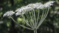 Latest weather: a warmer start this week