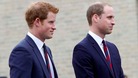 Royal brothers may attend Alnwick wedding