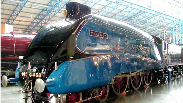 Mallard