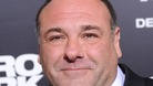 The Sopranos star James Gandolfini dies aged 51