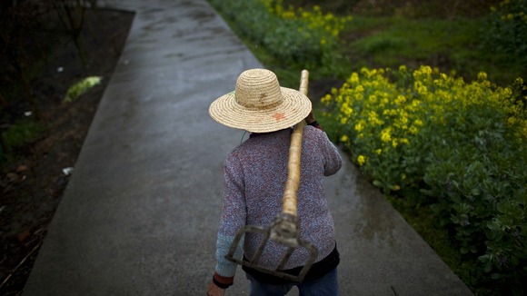 Farmer walking to her farm at a village in Shanghai