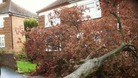 High winds caused damage to some homes in Rugby