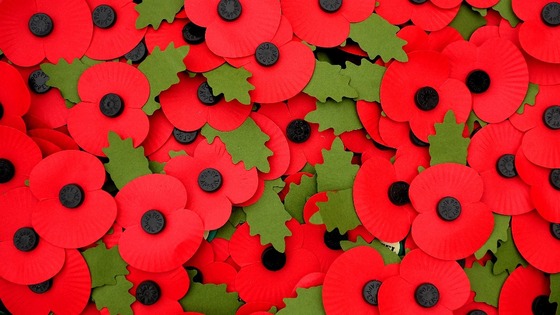 Poppy badges at the Armed Forces Memorial for a Service of Remembrance on Armistice Day at the National Memorial Arboretum, Staffordshire.
