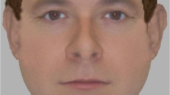 E-fit of attempted kidnapper