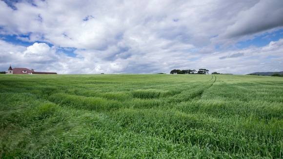 Crops growing in north Wales