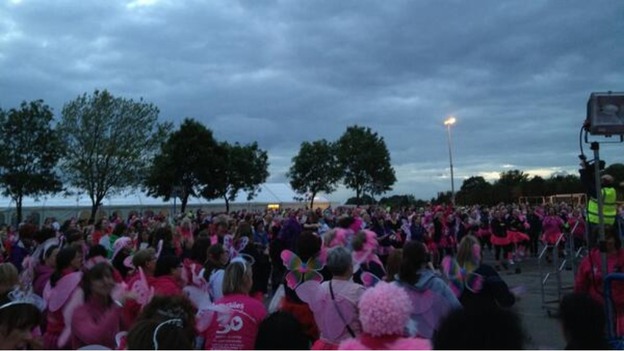 871 fairies gathered in Lichfield for St Giles Hospice