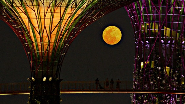 Tourists look at the rising moon from the elevated skywalk of the Supertrees Grove at the Gardens by the Bay in Singapore