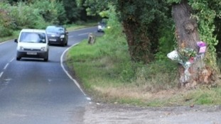 The car hit this tree in Leicestershire in October 2012.