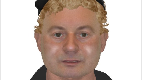 E-fit of thief