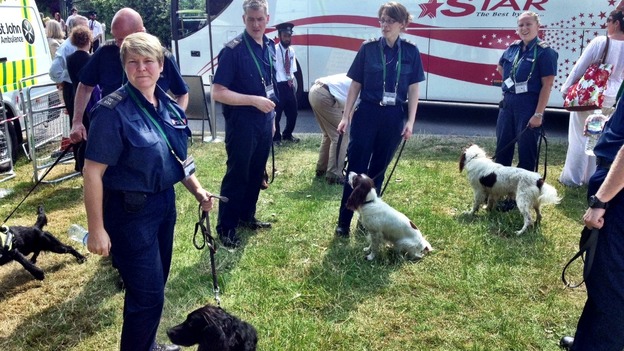 Sniffer dogs taking a break at Wimbledon.