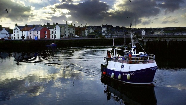 Big fishing firms lose High Court quota battle