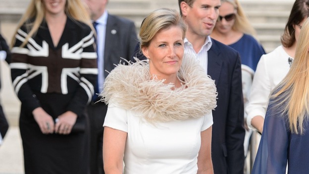 Sophie wore a dress with what appeared to be a feather collar