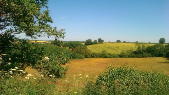 Sunny Watnall, Nottinghamshire.