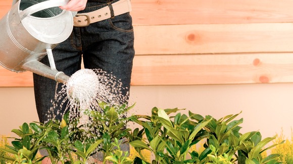 Gardener at work