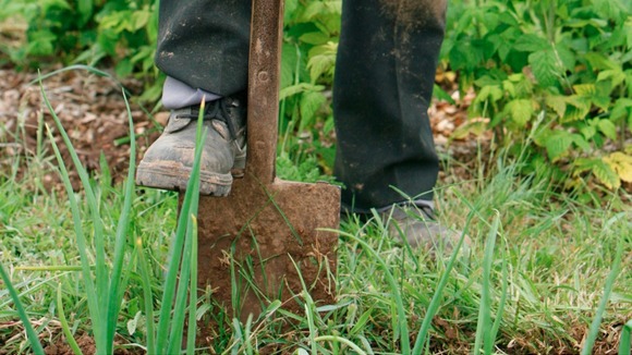 Gardener at work