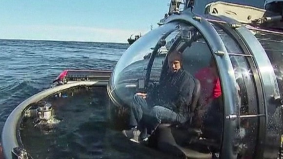 President Putin before the dive.