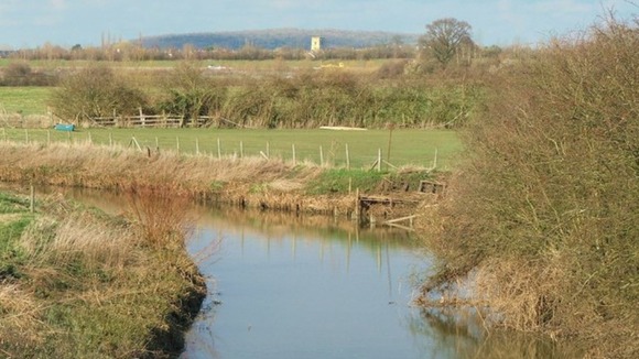 River Ray