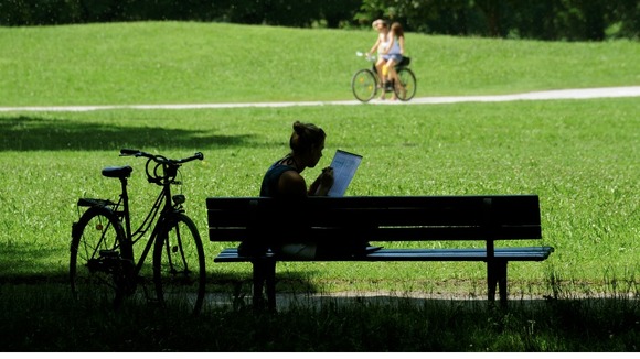 Stay out of the sun between 11am and 3pm during the heat of the day.