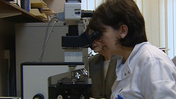 Scentist with microscope