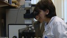 Scentist with microscope