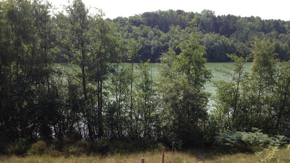 Bawsey Pits