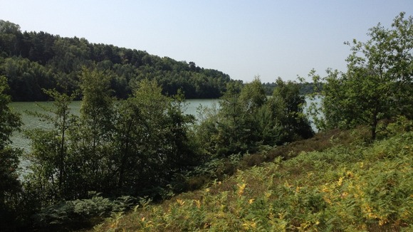 Bawsey Pits
