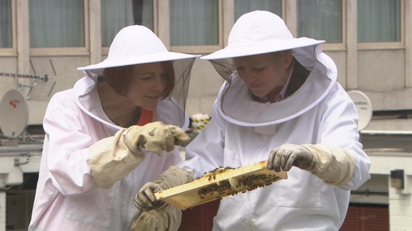 2 women in protective clothing examine bees and honeycomb