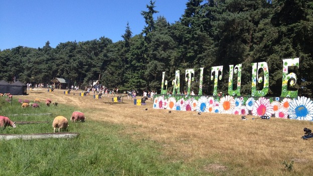 Pink and yellow sheep at Latitude