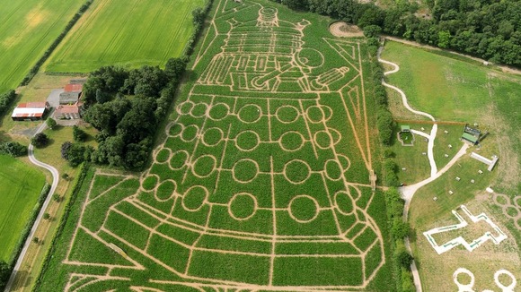 The York Maze has also been celebrating the anniversary with Daleks.