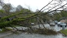 ree falls on to road in Aberdulais