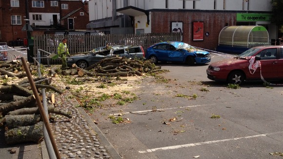 car cut free from tree