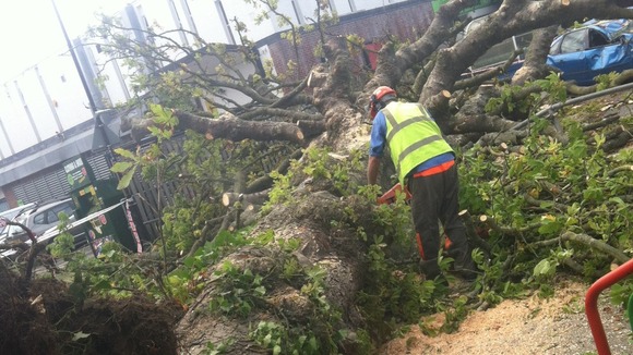 man clears tree