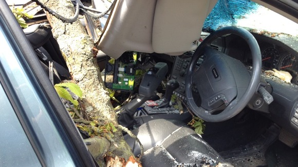 tree through car