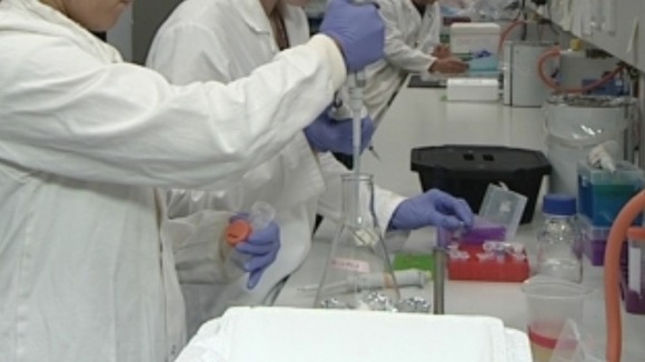 Scientists researching