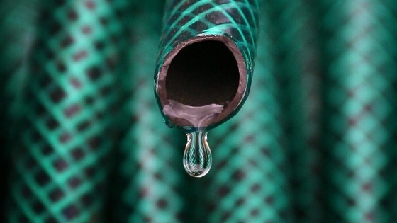 hosepipe