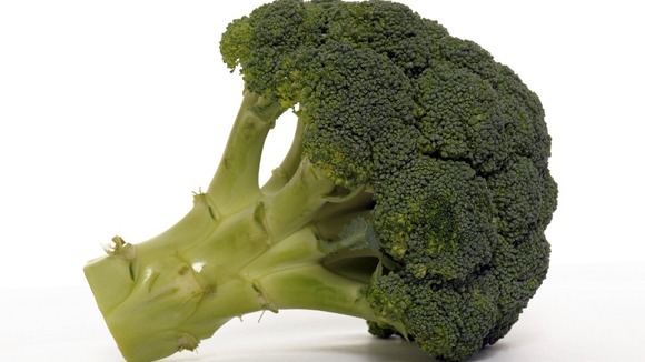 Broccoli floret