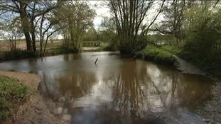 Ford flood