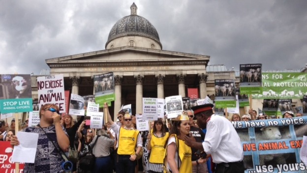 Protestors in Trafalgar Square for Compassion in World Farming march