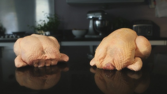 2 raw chickens on counter