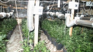The site of one of the North East's biggest Cannabis farms in Haltwhistle