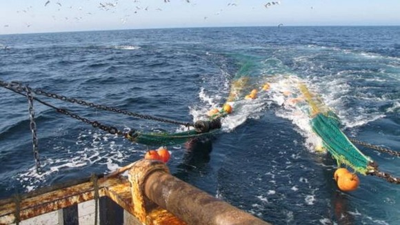 The first catch of the day is hauled in