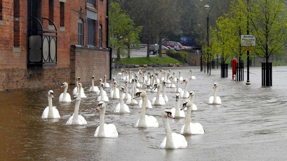 Worcester