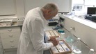 Stem cell research at the University of Bedfordshire could provide a major breakthrough in the search to find a cure for Parkinson's disease