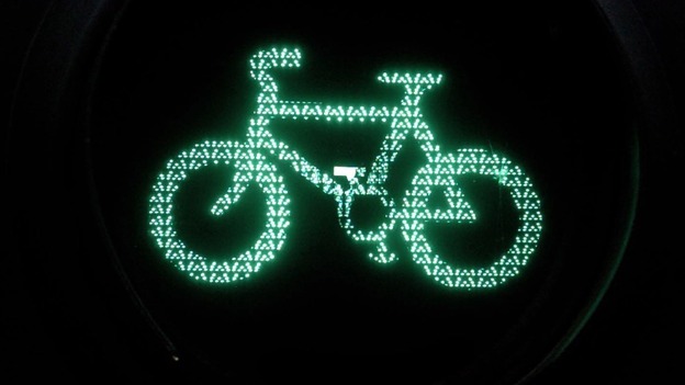 Cycle light