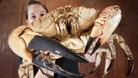 giant crab with Sea Life worker Jemma