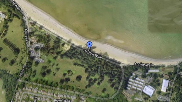 The boys were last seen near Appley Tower, on a popular beach near Ryde on the Isle of Wight.