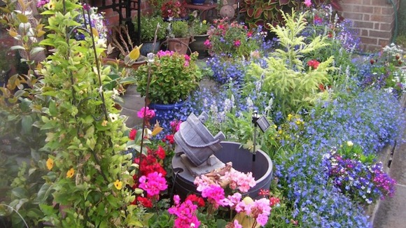 colourful garden in Kimberley
