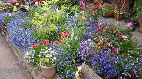 garden in Kimberley