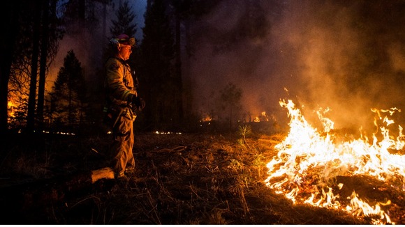 Sacramento Metropolitan firefighter John Graf monitors the Rim Fire line near Camp Mather, California.