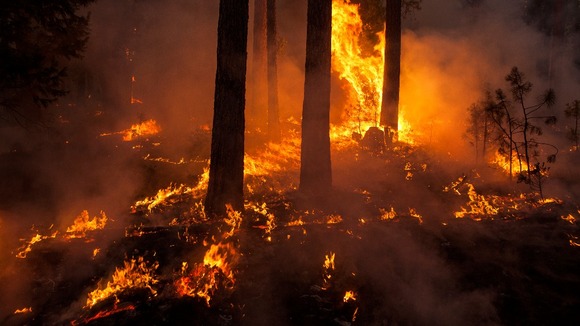 The wildfire in Yosemite National Park and surrounding areas has now burned 149,780 acres - an area larger than the city of Chicago.